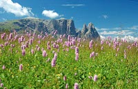 Alpe di Siusi